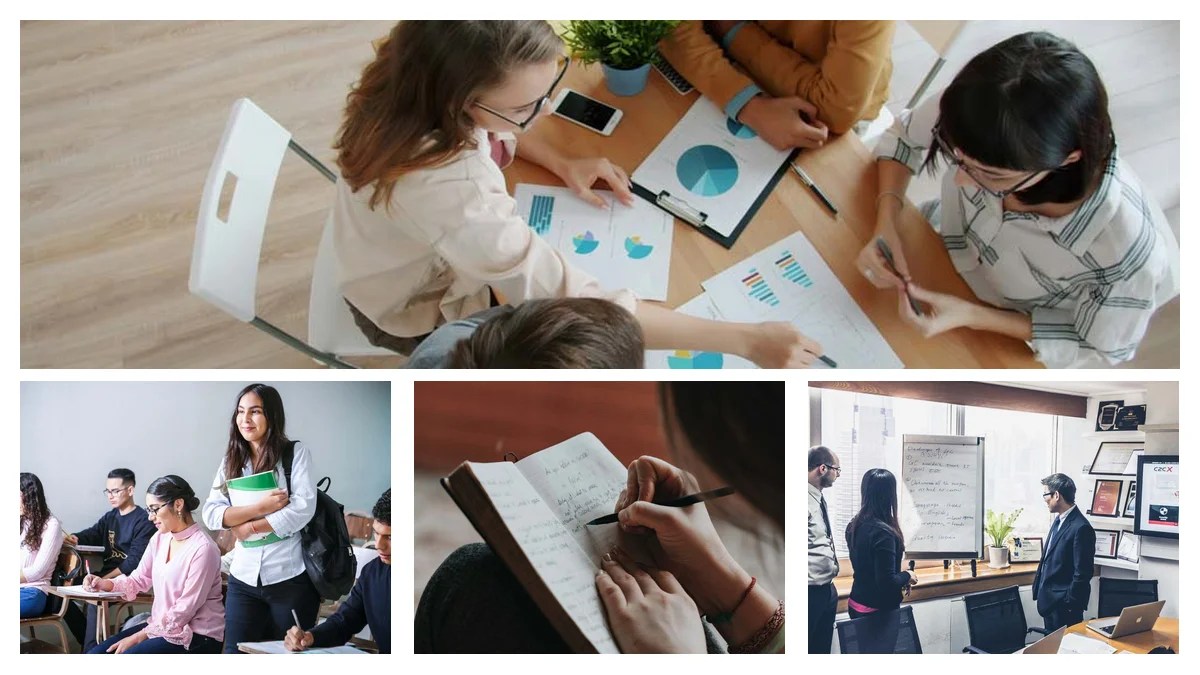 Reliability Engineer Resume Summary: Examples That Get You Hired