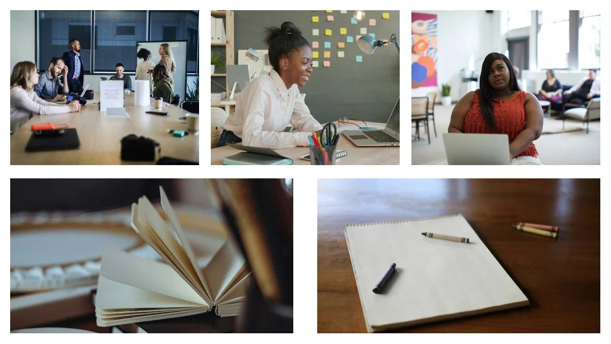 Finance Executive Specializations: Choosing the Best Fit