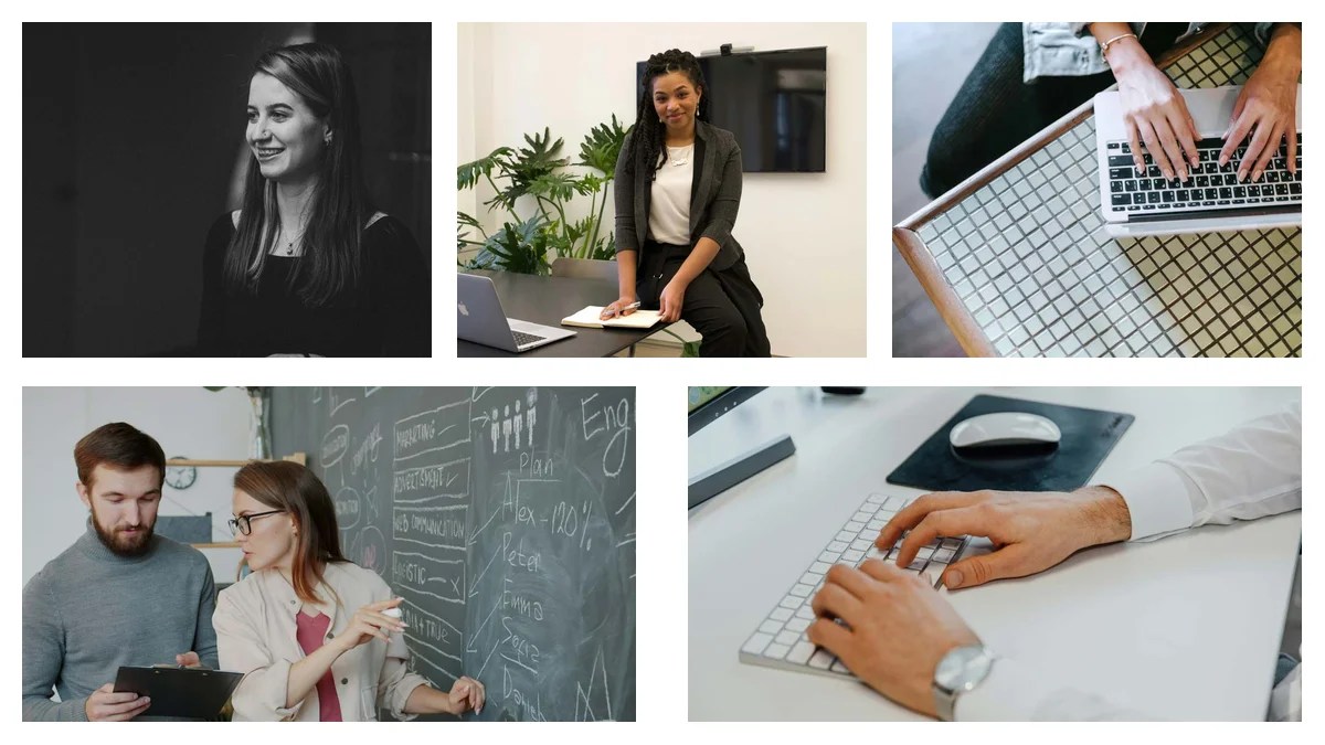 Audit Associate: Skills, Resume & Interview Playbook