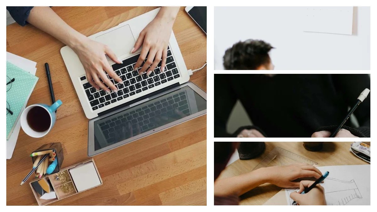 Director Of Special Events Resume: Showcase Skills to Land the Role