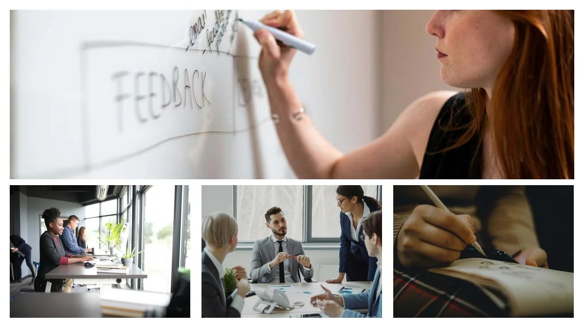 Mechanic: Startup vs Enterprise - Which Career Path is Best?