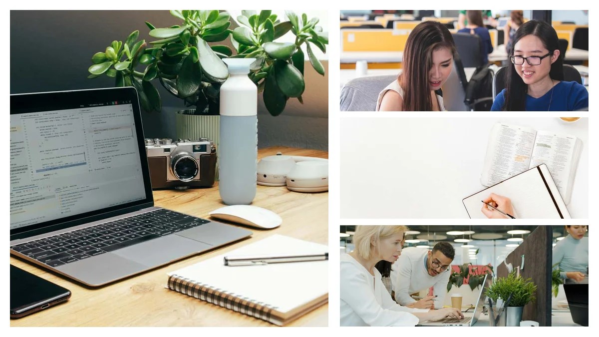 Senior Operations Analyst: What Sets the Elite Apart