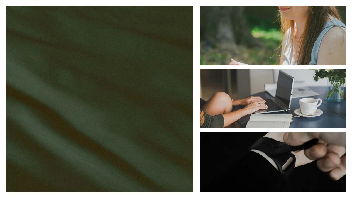 Sales Executive to Specialist: Transferable Skills Playbook