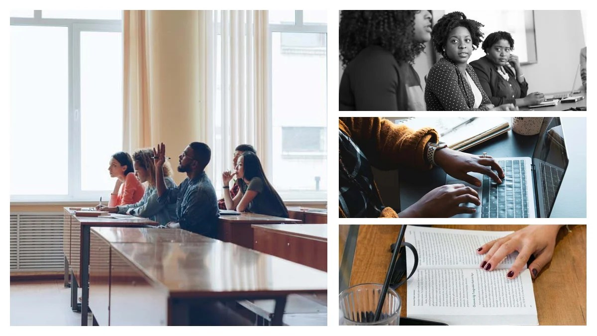 Senior Sales Executive: What Sets Them Apart