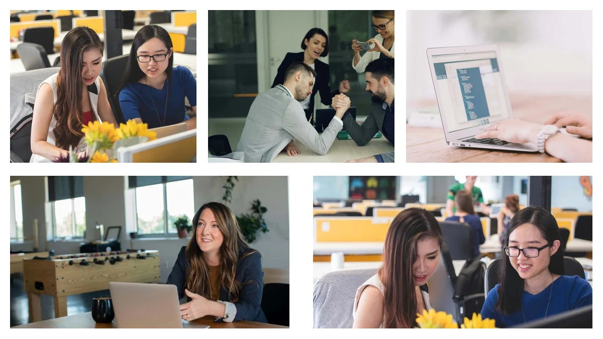 Small Business Consultant: Master Metrics and KPIs for Success