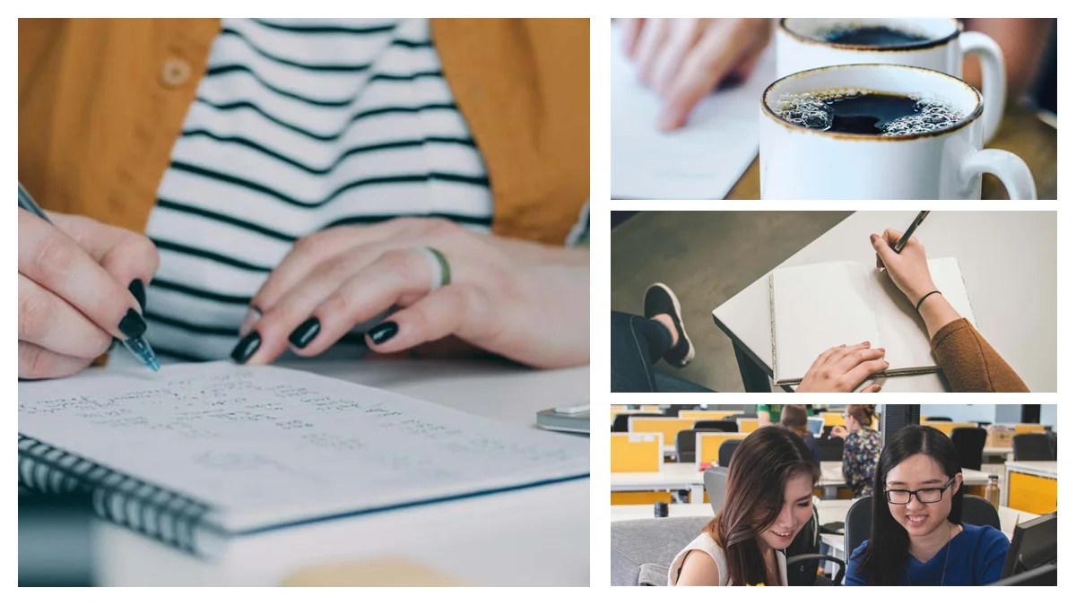 Operations Team Leader: The Promotion Playbook