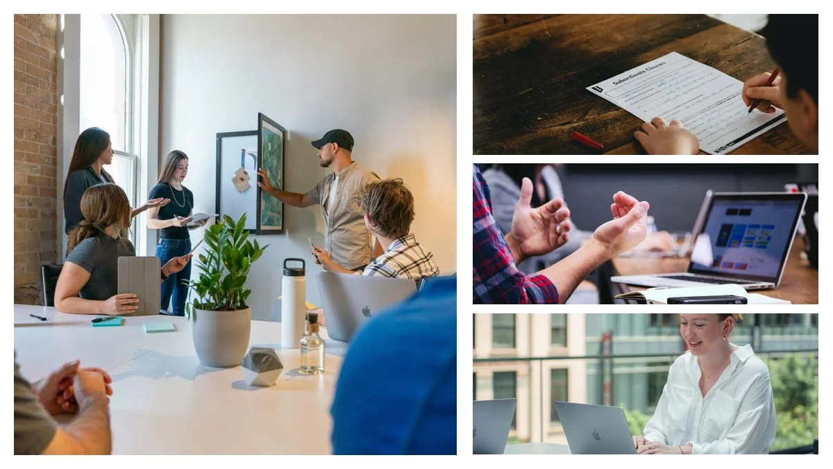 Chairman & Co-Founder Resume Summary: Examples That Get You Hired