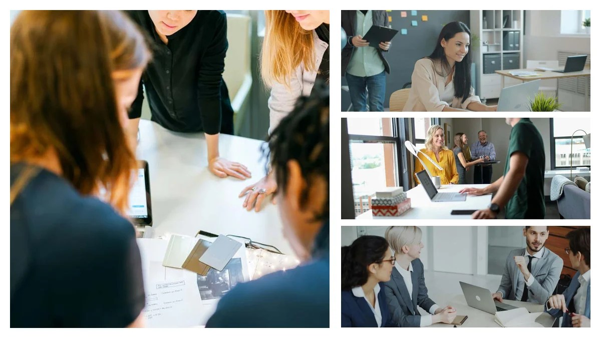 Credit Officer: Real Pros & Cons to Consider