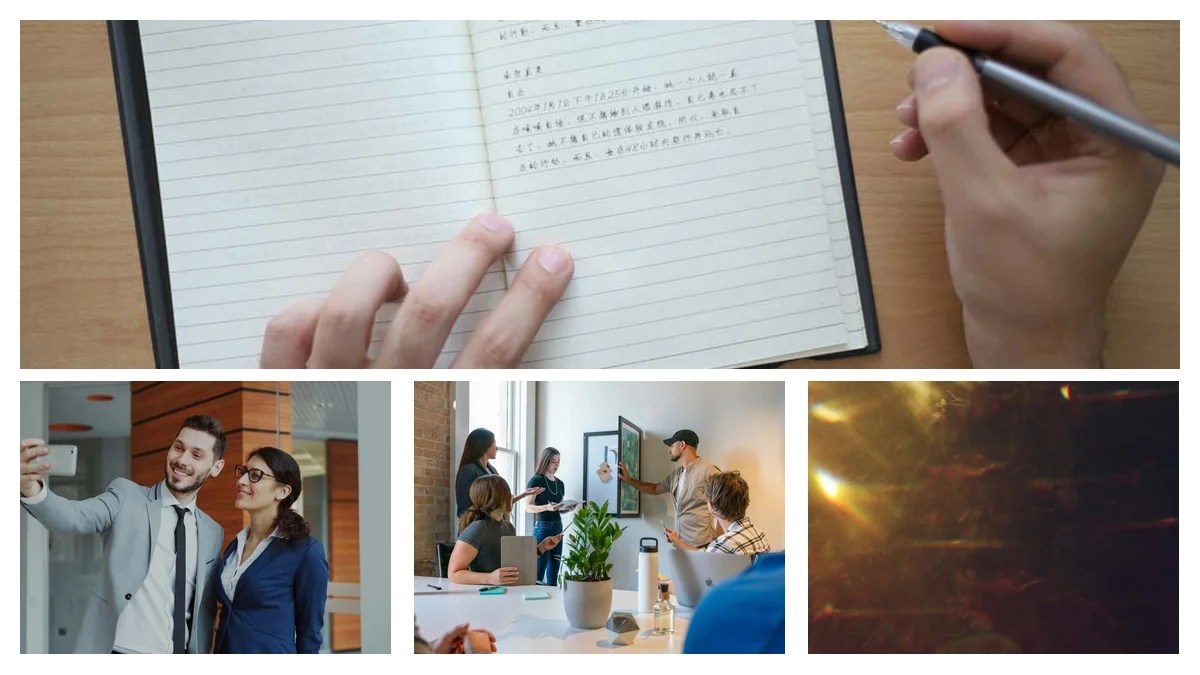 Psychiatric Nurse Practitioner: Role Description Mastery [Playbook]