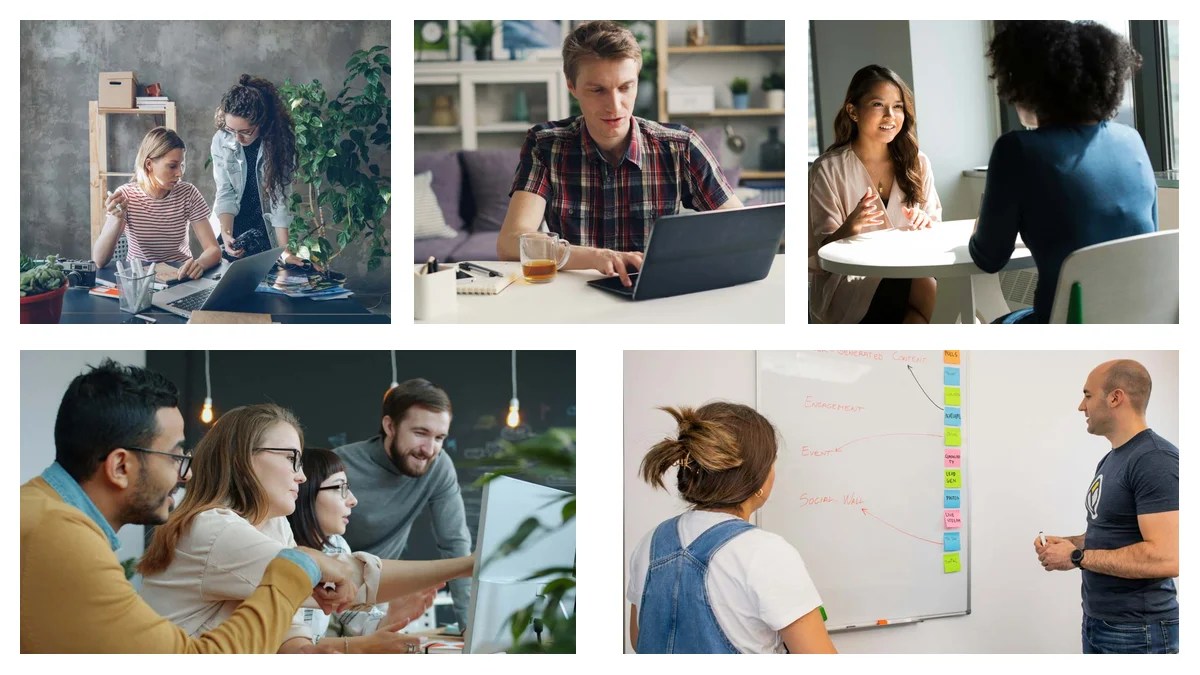 Evaluate a 3D Designer Offer: Scripts, Scorecards, & Proof Plans