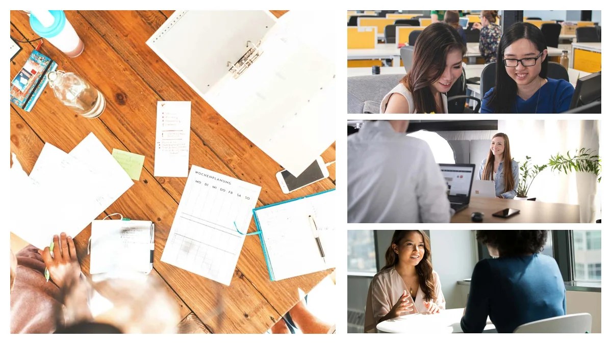 Wellness Coach to Specialist: Transferable Skills Guide