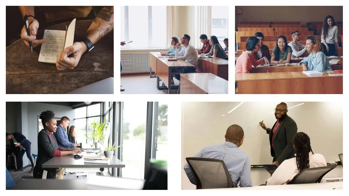 Sports Director: The Alignment Playbook