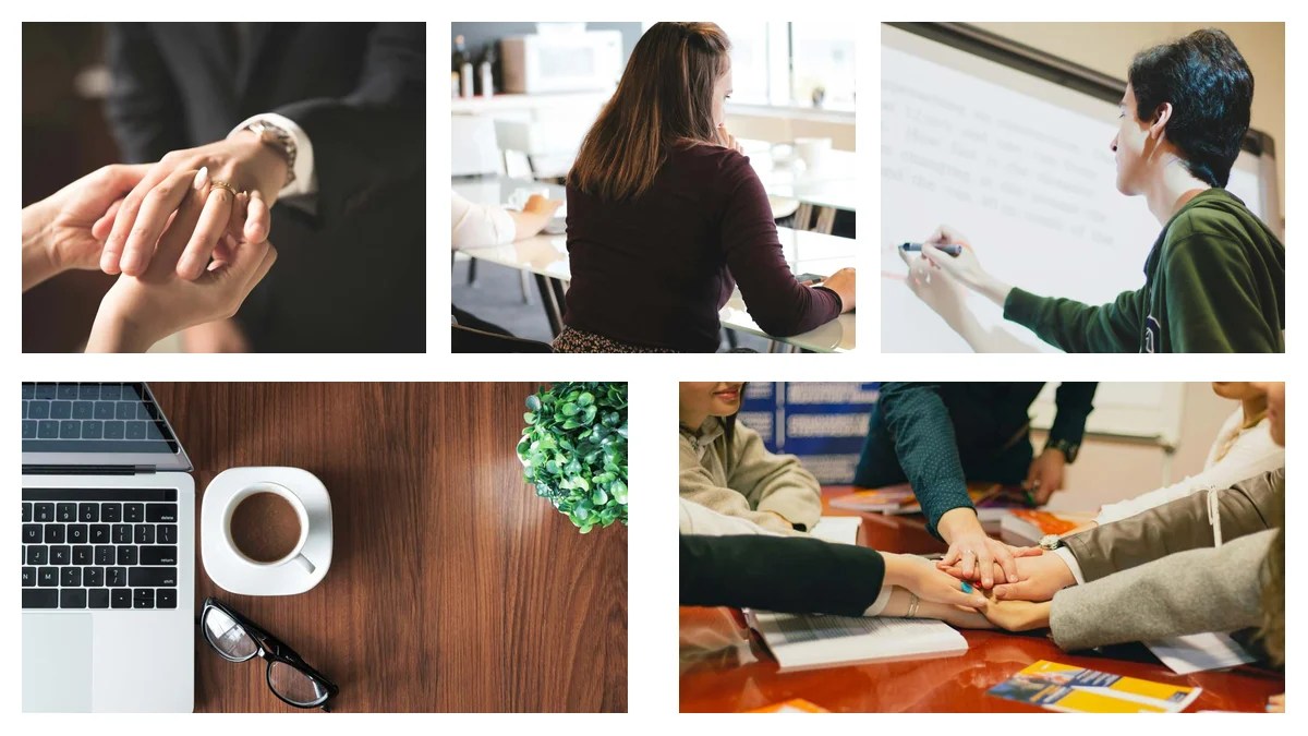 Top Line Cook Resume Projects That Get You Hired