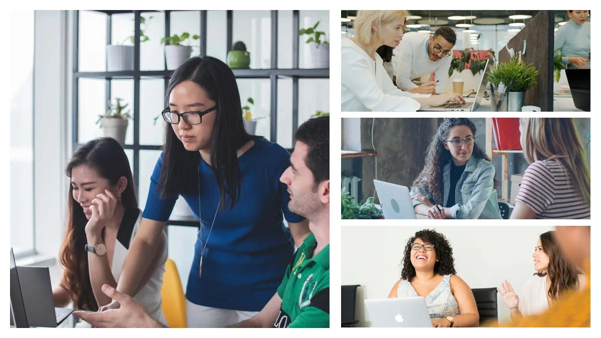 Inventory Control Manager: How to Pick Your Perfect Specialization