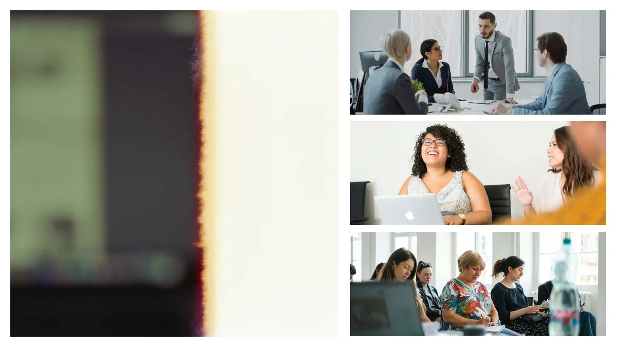 Content Strategist to Specialist: Transferable Skills Playbook