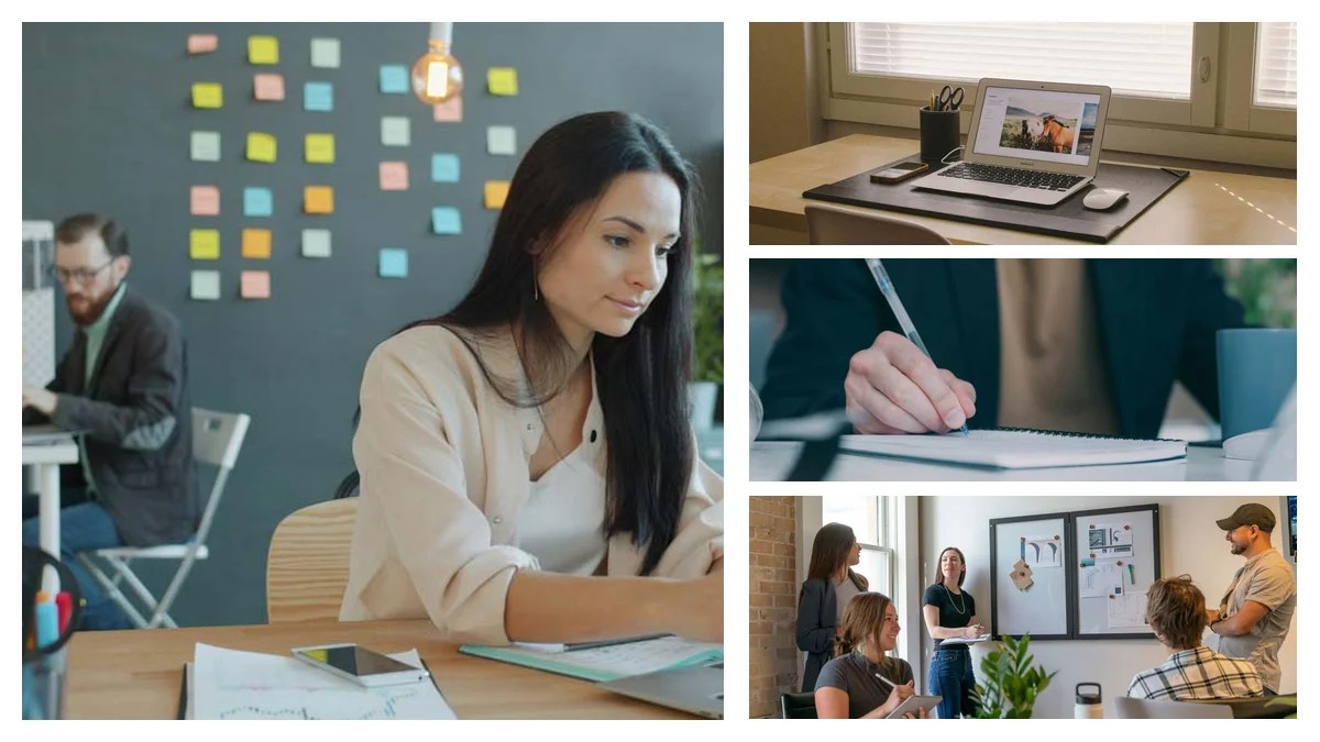 Pediatric Dentist: Startup vs Enterprise - Which Career Path?