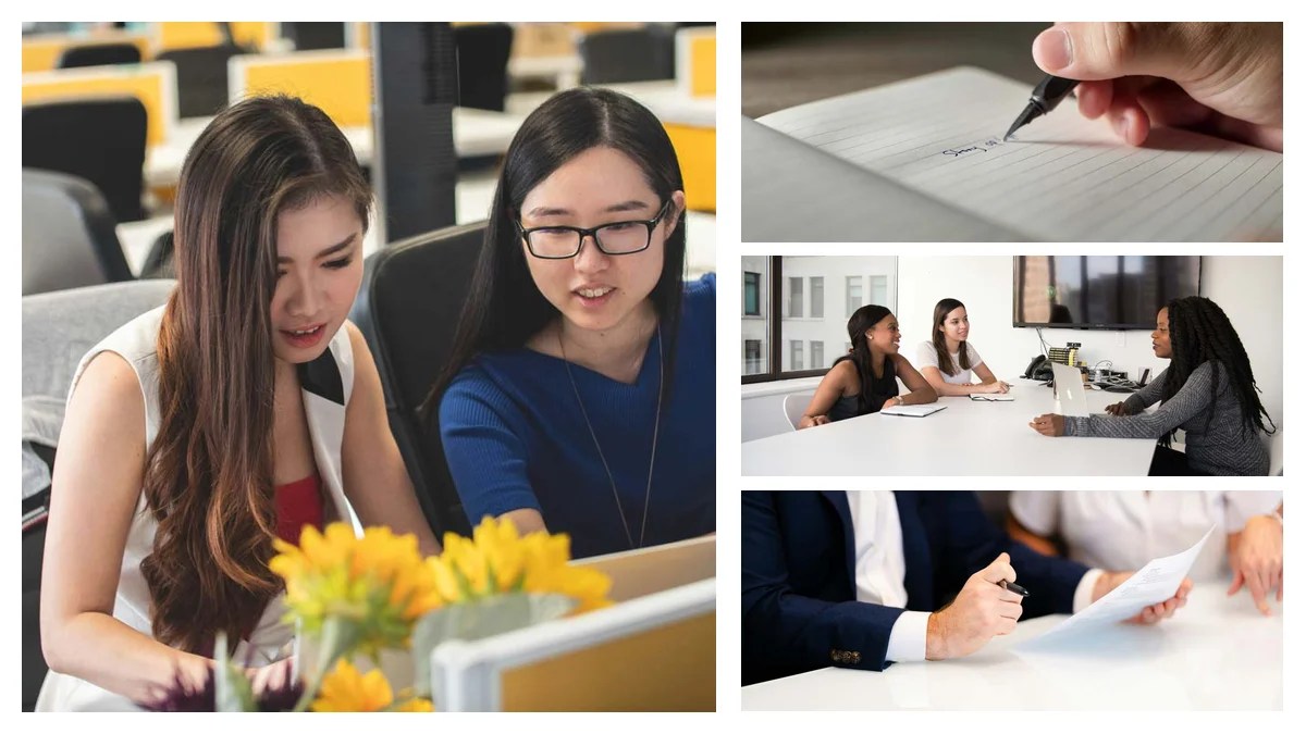 Procurement Officer Role: Mastering the Description & Delivering Value