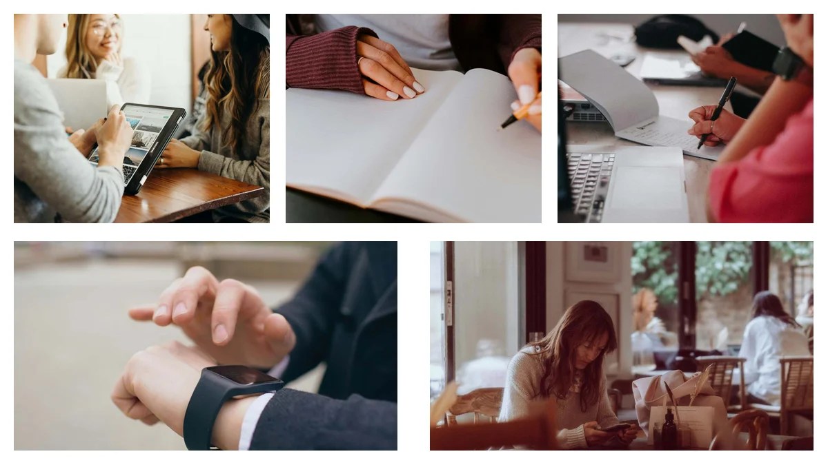 From Field Assistant to Senior: Your Playbook