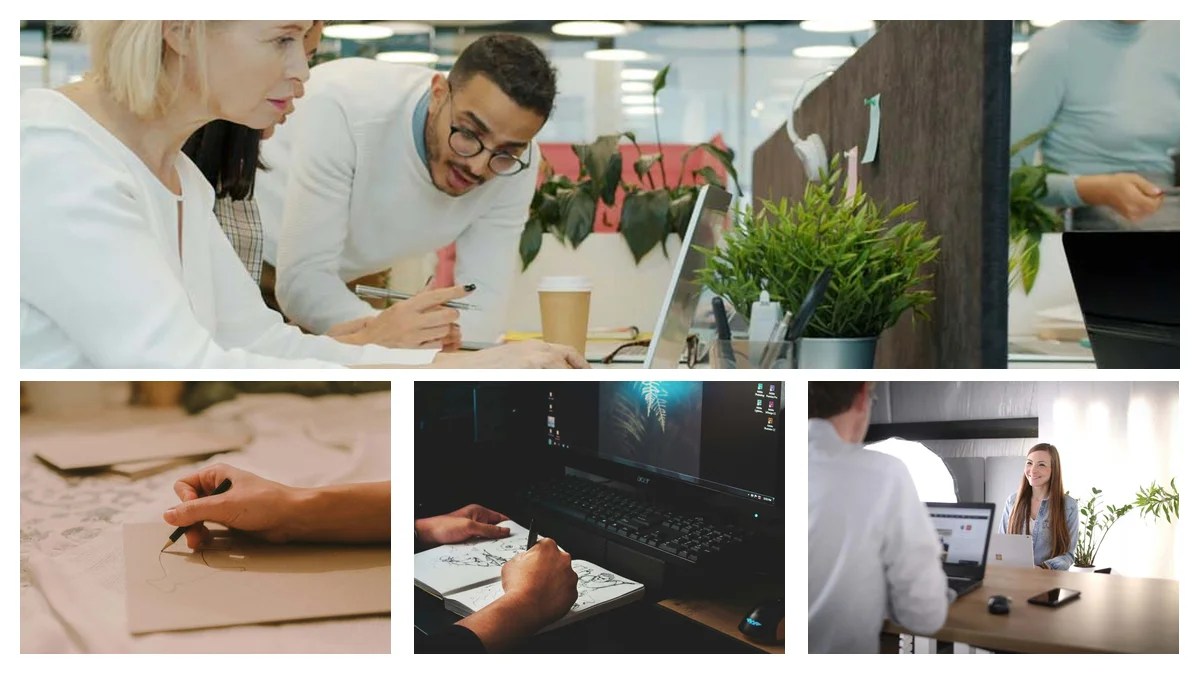 Evaluate a Field Assistant Offer: Scripts, Scorecards, and Proof Plans