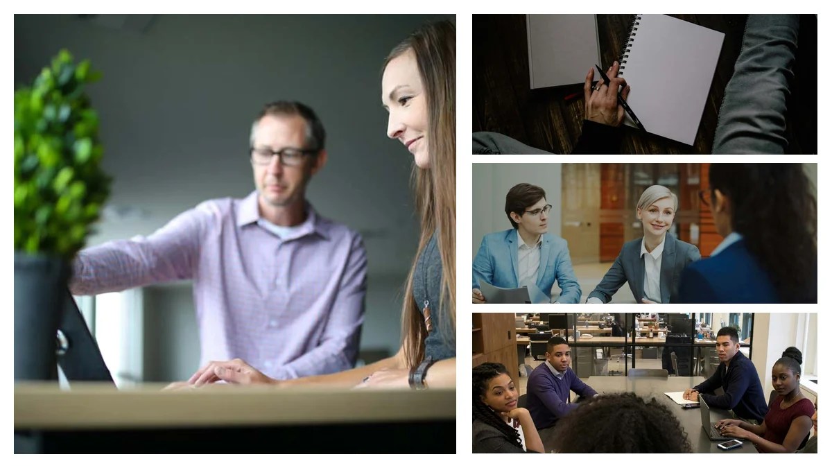 Regulatory Analyst Resume Summary Examples That Land Interviews