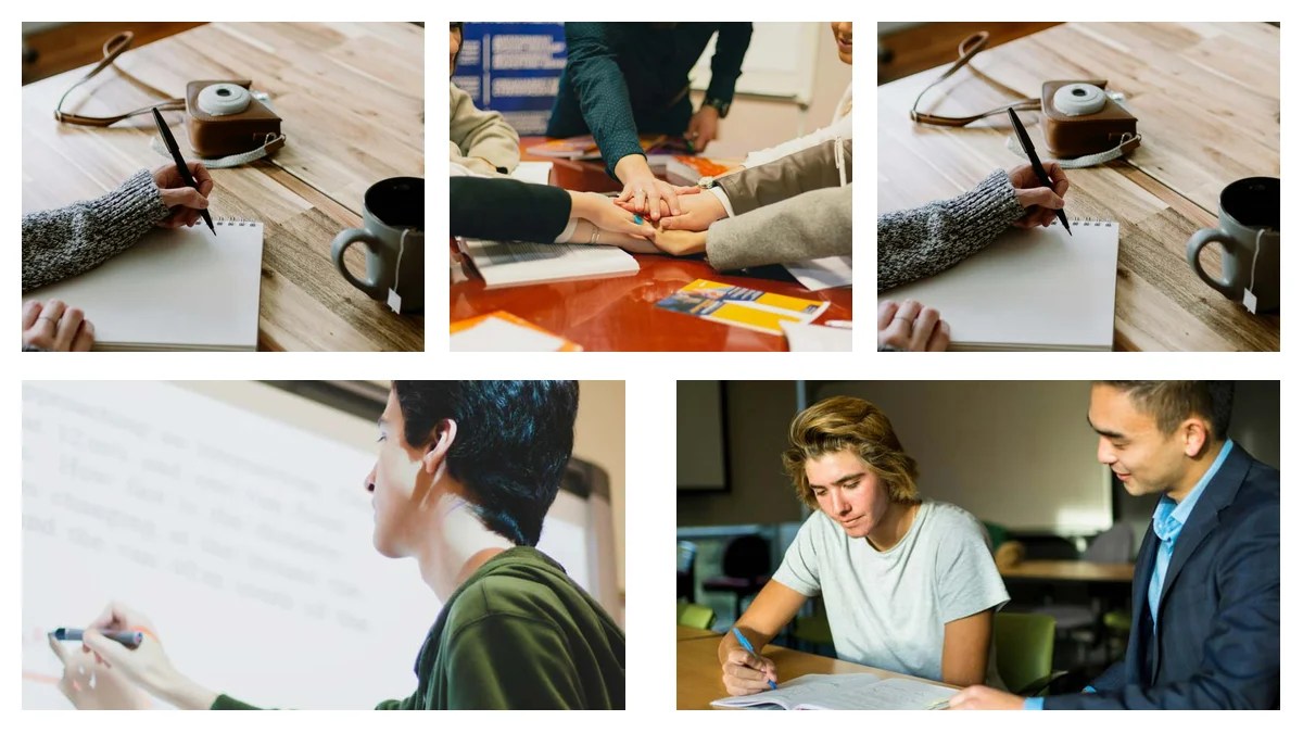 Associate Veterinarian vs Specialist: Which Path is Right for You?