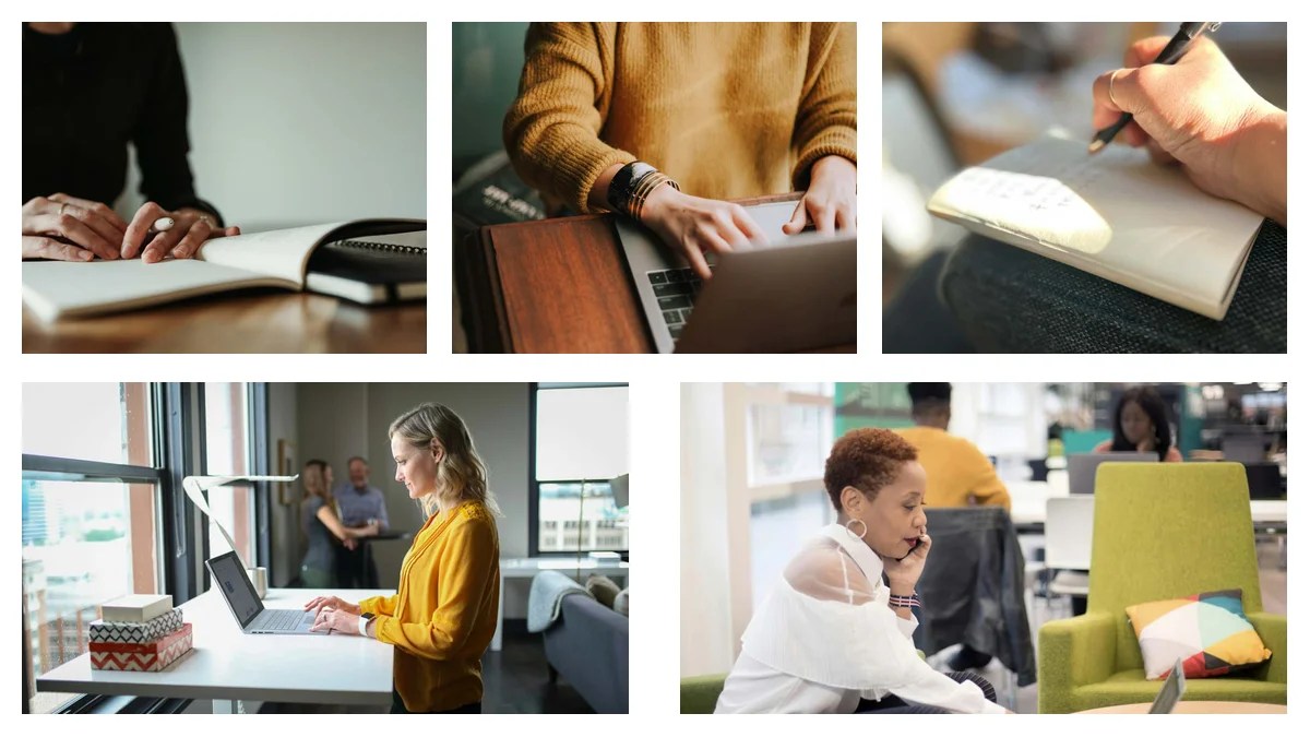 Staff Attorney: Master Key Terms & Concepts