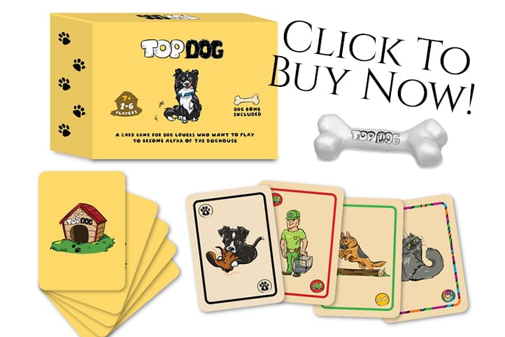 Rockwall animal adoption center