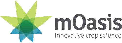 mOasis (acquired by Carbon Neutral Ag Sciences) has developed a proprietary class of super absorbent polymers that address current challenges in agriculture. The company manufactures BountiGel®, a non-toxic soil additive that holds excess water near the seed or roots of plants and releases it as the soil dries, resulting in less plant stress and significantly higher crop yields while reducing water needs.