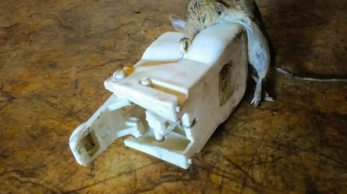 How to Keep Mice Out of Your Car Engine