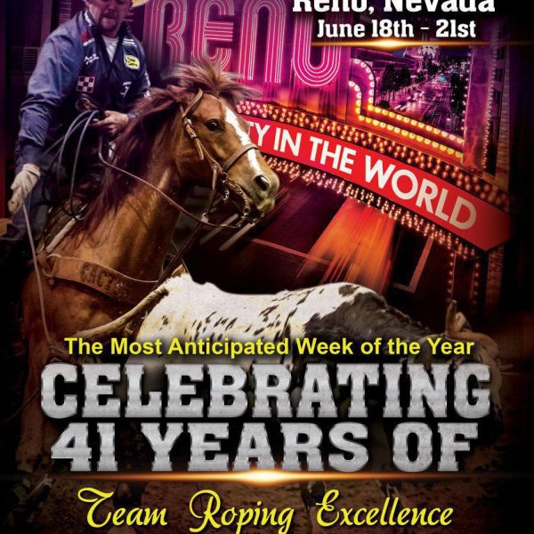 Team roping flyer design sample showing entry fees, payouts, and sponsors
