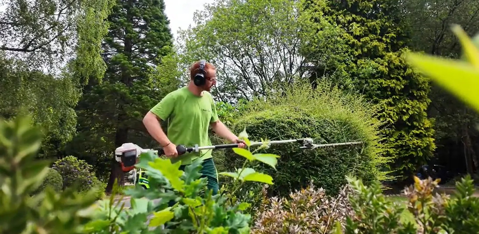 Roff Co team hedge trimming
