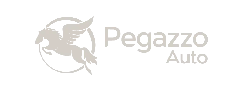 01_roggma-cliente_pegazzo-auto