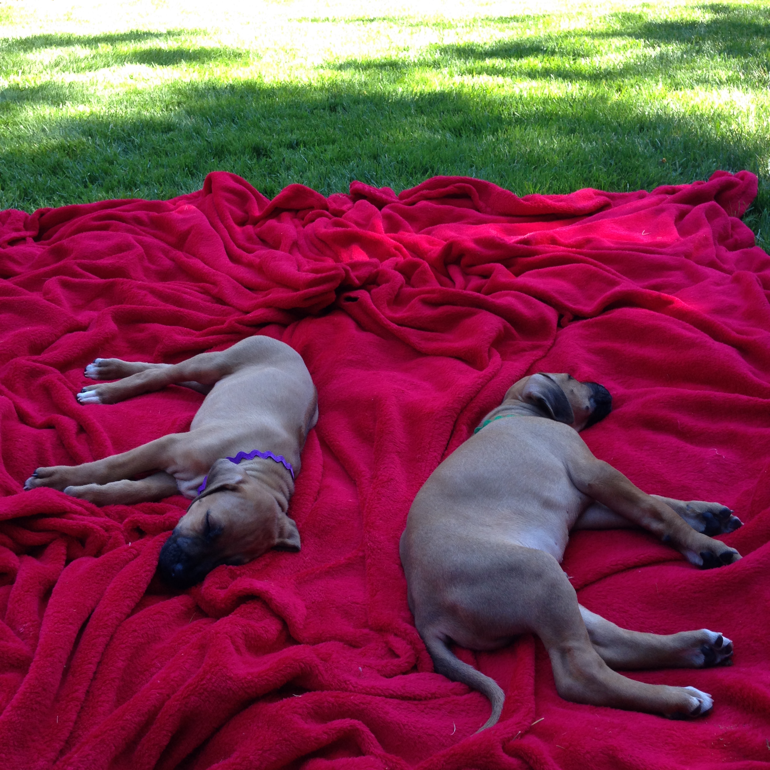 after a hard day outside