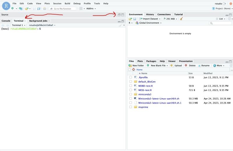 Process Models Workshop 10 Using Mess Api Mode In Rstudio To Explore - Best Dark Pictures in 4K