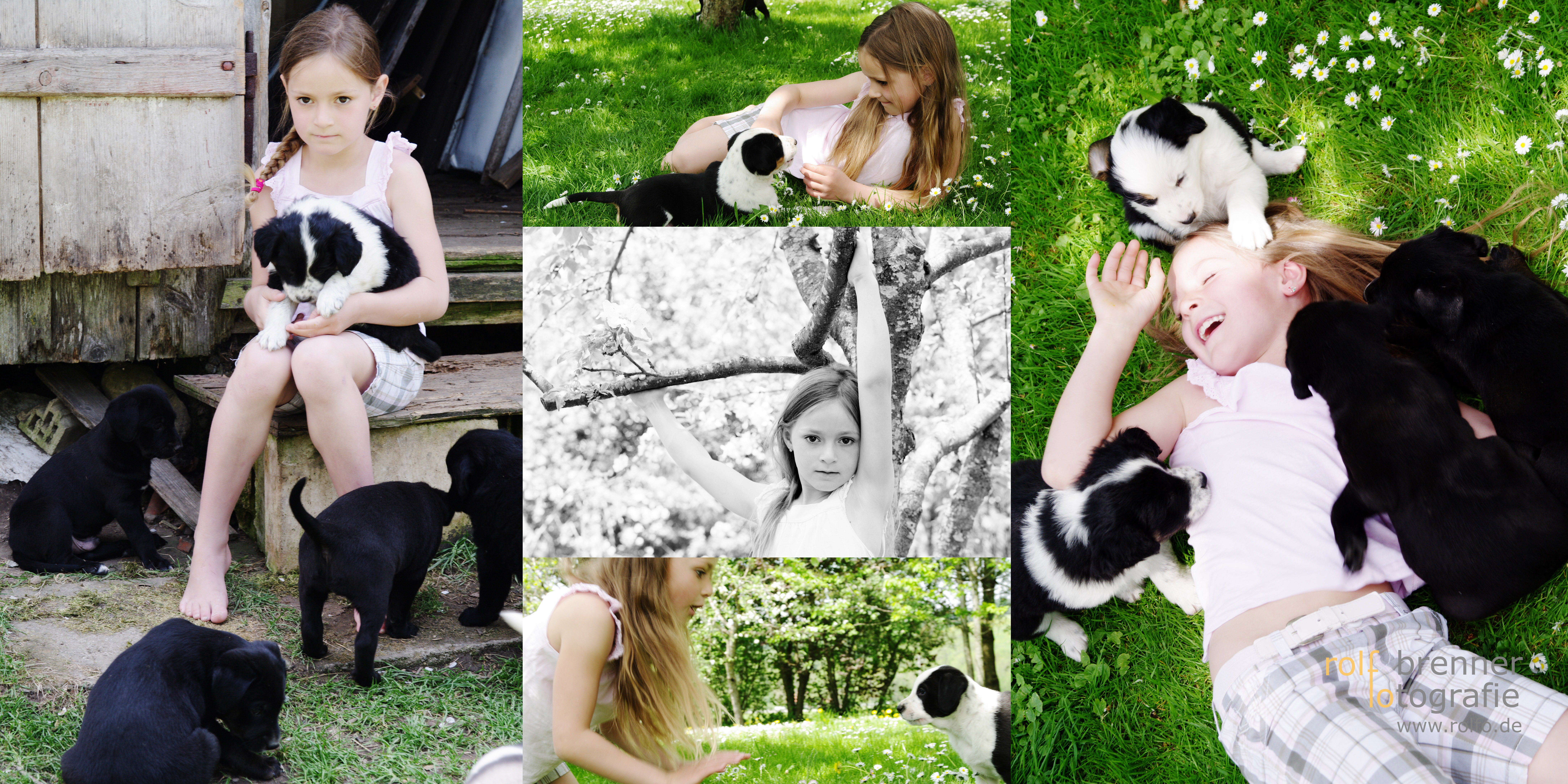 Ihr Partner f&uuml;r Werbefotografie und Portraitfotografie in Lindau, Bregenz, Wangen, Kempten, Friedrichshafen, Oberstaufen, Leutkirch, Lindenberg, Memmingen, Oberstdorf. Fotostudio in Isny im Allg&auml;u.