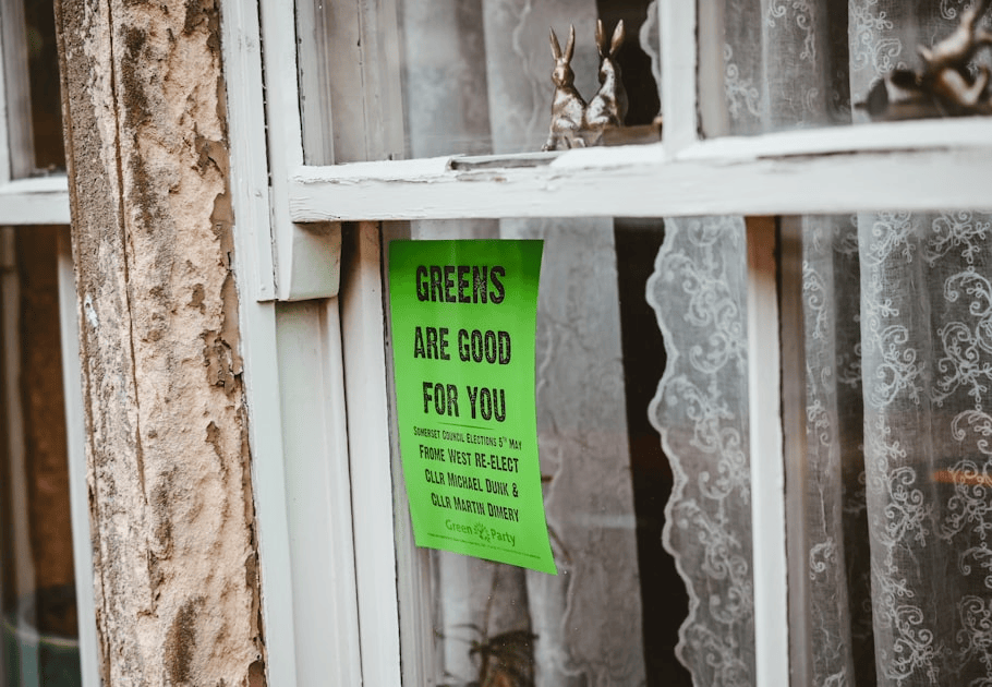 Environmental Impact and Community Representation