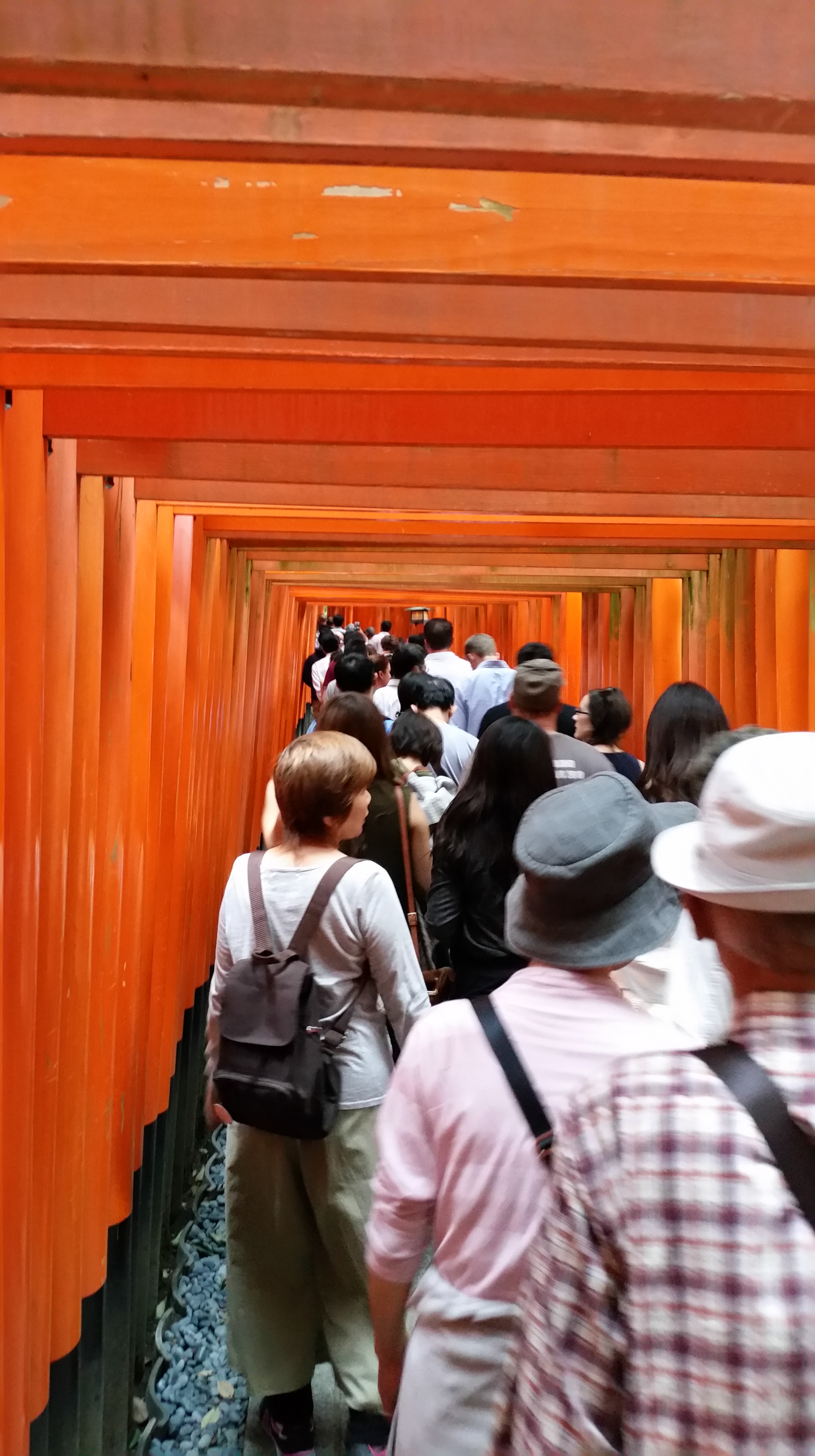 Masses of tourists...