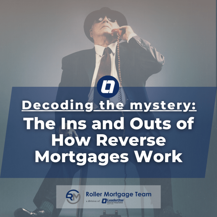 The Ins and Outs of How Reverse Mortgages Work The Ins and Outs of How Reverse Mortgages Work