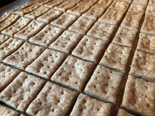 Delicious and Healthy Sourdough Crackers