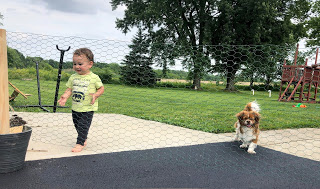DIY: Portable Outdoor Kid Fencing 2.0