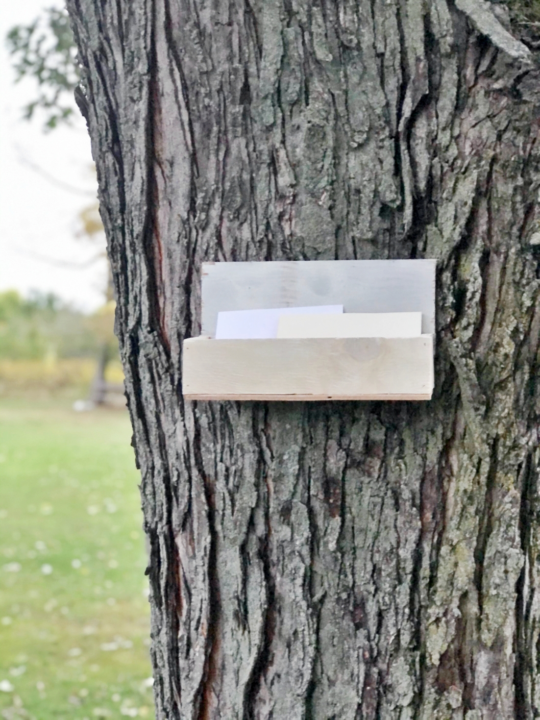 DIY: Simple Rustic Mail Organizer