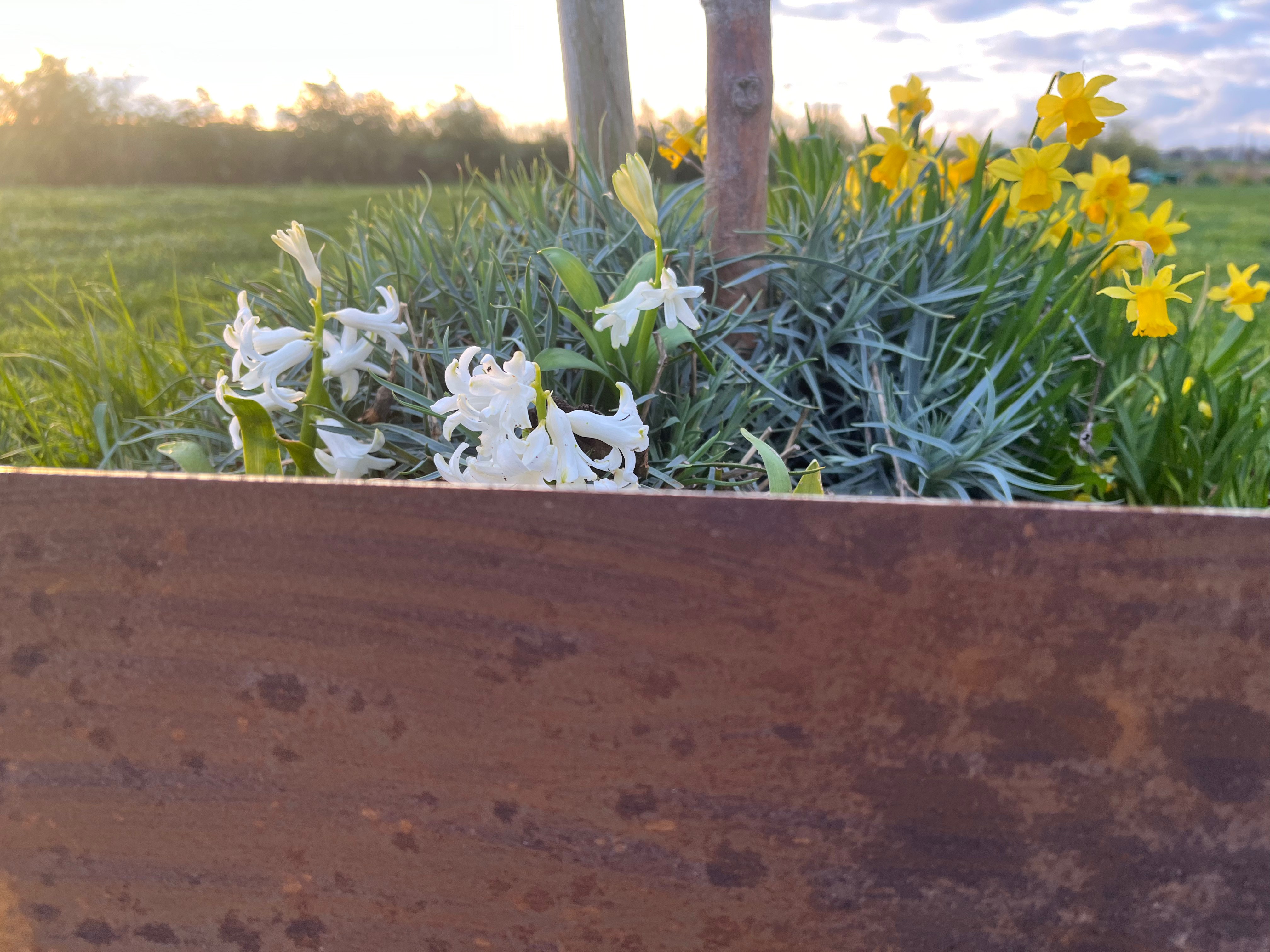 Entretien acier corten