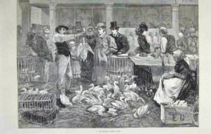 Michaelmas