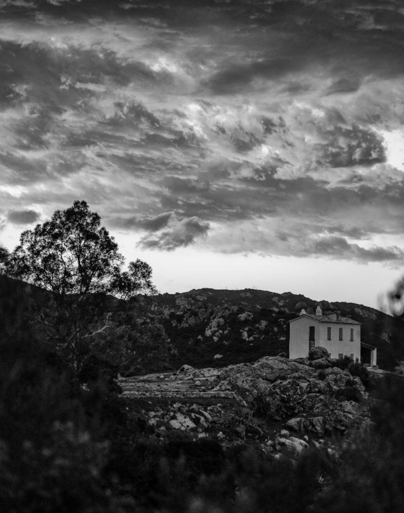 Bougie Corsica- MAQUIS CORSE – Image 3