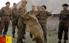 Polish Troops Monte Cassino