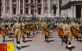 Irish Brigade St Peters