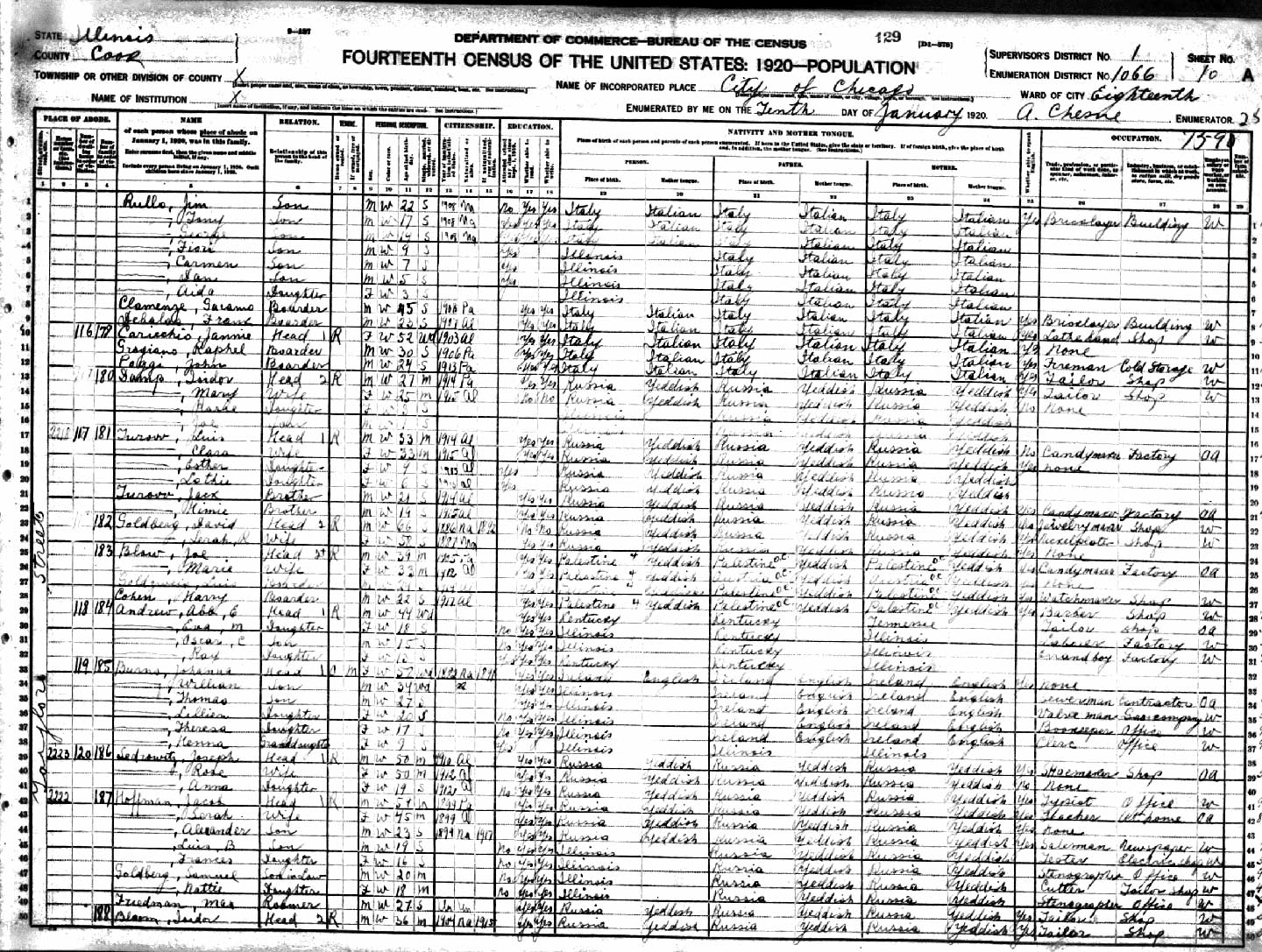 1920 census Louis Turow Family