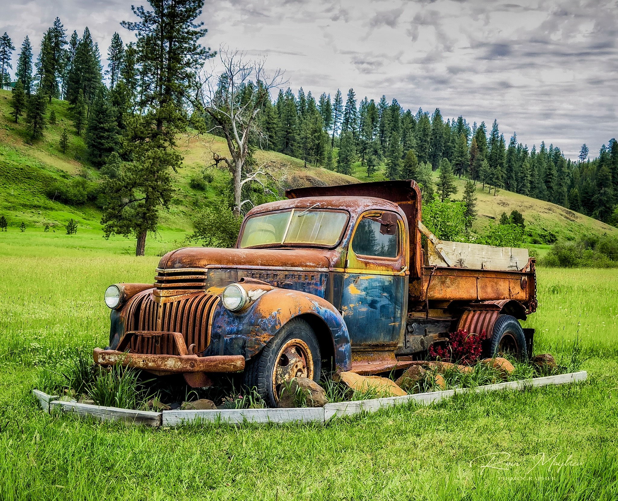 Discovering Hidden Gems on the Road to Saint Maries