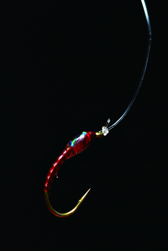 Bloodworm Buzzer