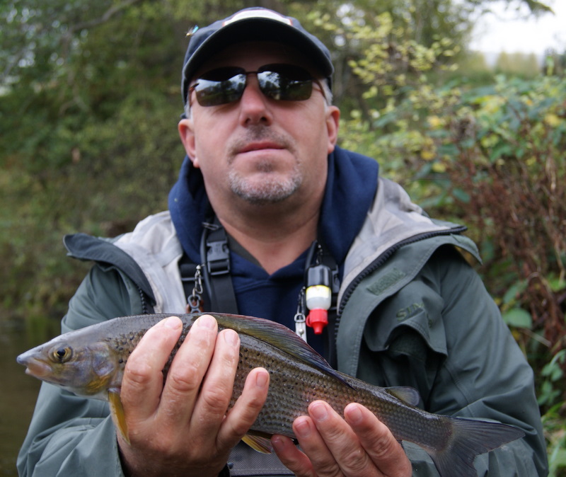 grayling_ronsfishing